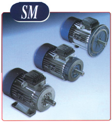 SMX Series (High efficiency)