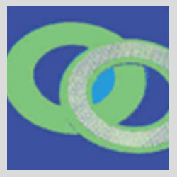 Fluoroflange Gaskets