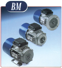 BM Series Motors