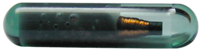 Glass Ampoule Tags 