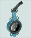 Butterfly Valve