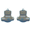 CAST STEEL NON-RETURN VALVES (Pressure Seal Bonnet)
