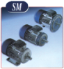 SMX Series (High Efficiency Motors)