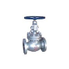 Globe Valve