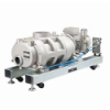 Dry Vacuum Roots Pumps