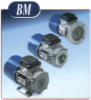 BM Series Motors