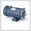 Low Voltage Motors