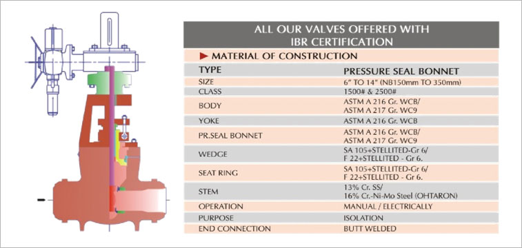 Cast Steel Gate Valves